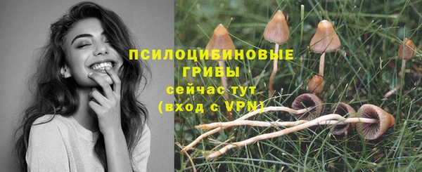 каннабис Абаза