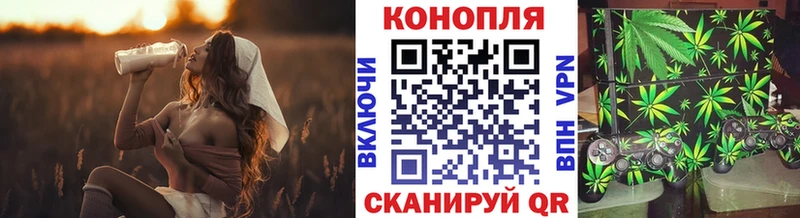 площадка наркотические препараты  Каргополь  МАРИХУАНА MAZAR 